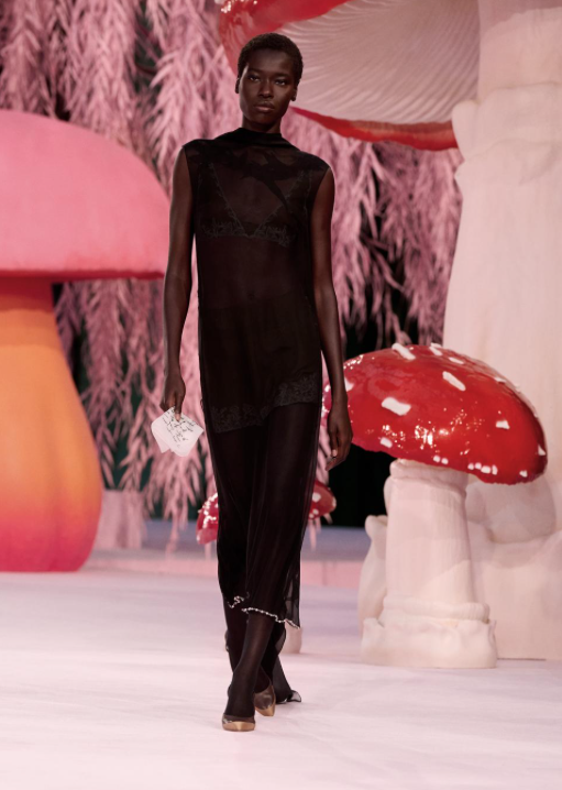 desfiles | altura costura | Chanel | Matthieu Blazy | consultoria de moda | consultoria de imagem | consultoria de estilo | imagem | assinatura de estilo | marcas | maisons