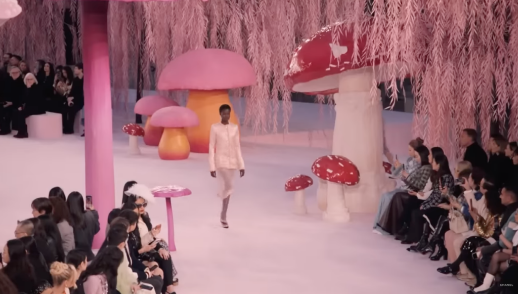 desfiles | altura costura | Chanel | Matthieu Blazy | consultoria de moda | consultoria de imagem | consultoria de estilo | imagem | assinatura de estilo | marcas | maisons