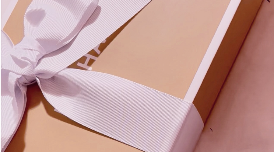 imagem | bolsa de luxo | posicionamento | estilo | assinatura de estilo | percepção de valor | comunicação visual