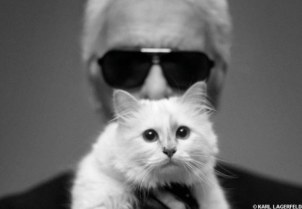 blog de moda | compras | moda | acessórios | bolsas | capas para celular | nova coleção de acessórios by Karl Lagerfeld | gata de estimação de Karl Lagerfeld | Choupette | Karl Lagerfeld lança coleção com inspiração em seu pet