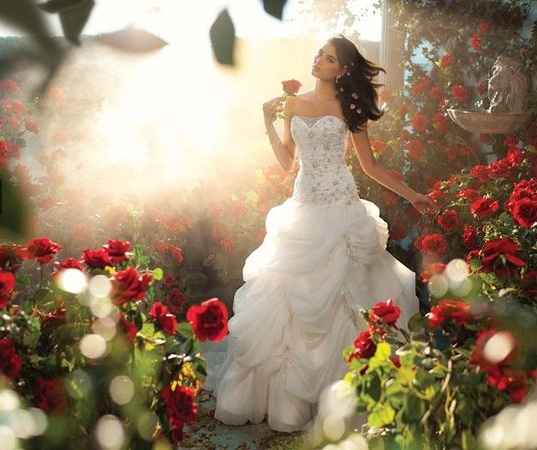 moda | roupas | looks de festa | vestidos de noivas | vestidos de noivas inspirados nas princesas da Disney