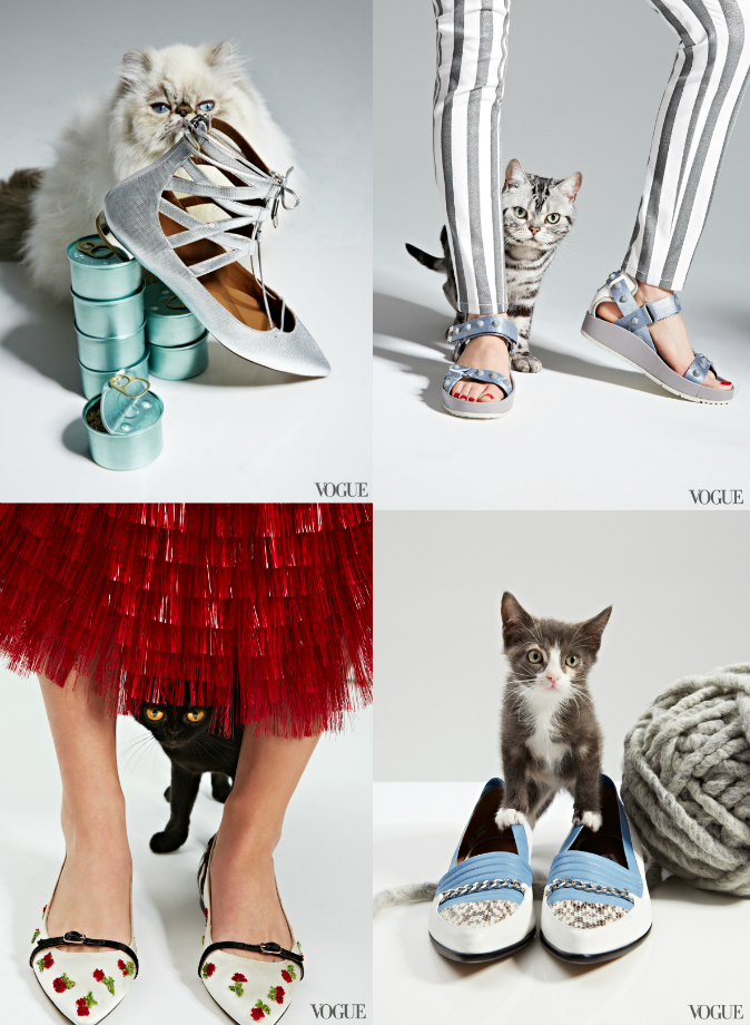 moda | revistas de moda | editoriais | Vogue | Vogue US | Vogue América | The Cat and the flat | editorial com gatinhos | the cat and the flat editorial