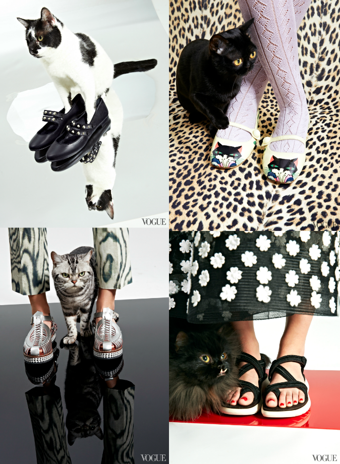 moda | revistas de moda | editoriais | Vogue | Vogue US | Vogue América | The Cat and the flat | editorial com gatinhos | the cat and the flat editorial